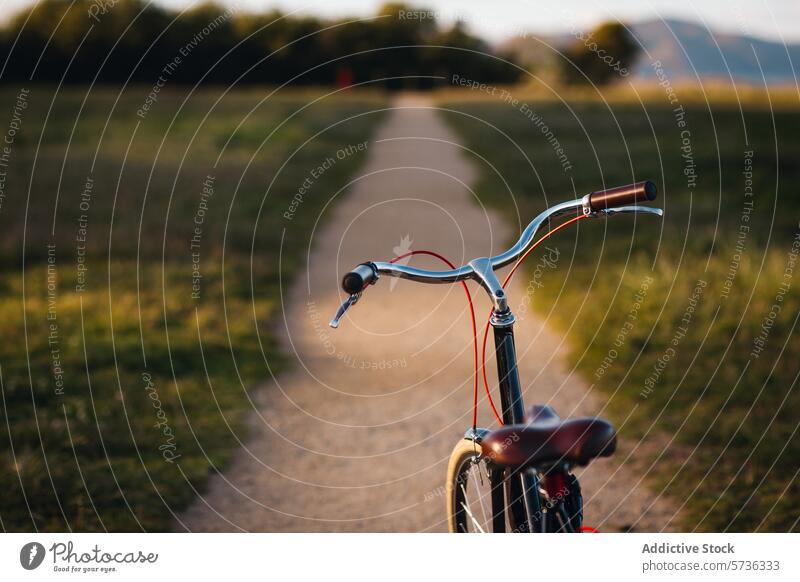 Close-up of a bicycle handlebar with the winding path of a lush park beckoning for a leisurely ride at sunset journey close-up outdoor adventure grass evening