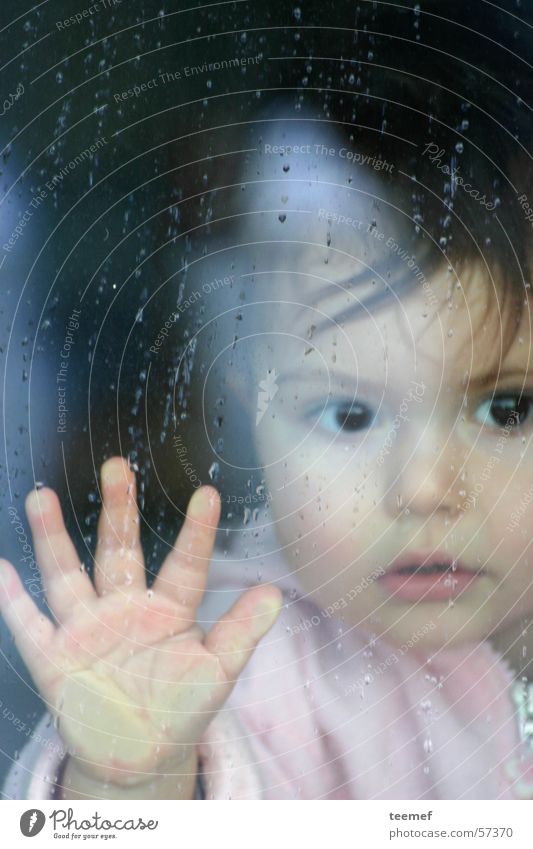 rainy day Girl Child Portrait photograph Rain Autumn Hand Breath Curiosity Window Pane Face Eyes