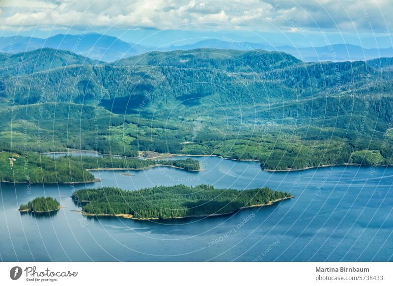 Aerial view over the green summer landscape of the alaskan wilderness of the Misty Fjords aerial misty fjords forest landscape island travel nature park scenic