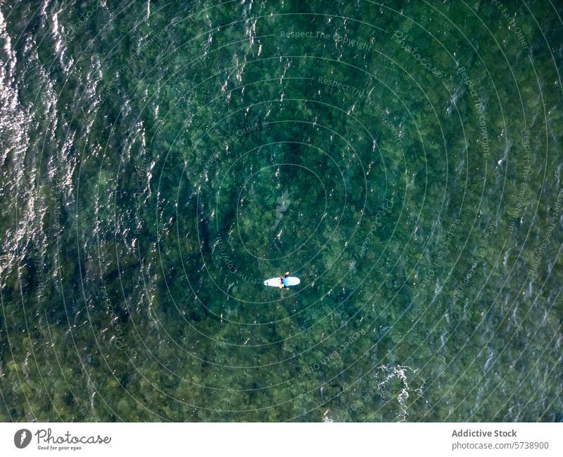 Aerial view of a single surfer in a vast sea aerial ocean overhead water solitude nature outdoor aquatic tranquility drone top view sport lifestyle leisure