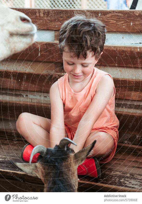 Smiling boy in summer attire enjoys a moment with a goat kid while seated on wooden steps at a farm school smile bonding animal sitting outdoor interaction
