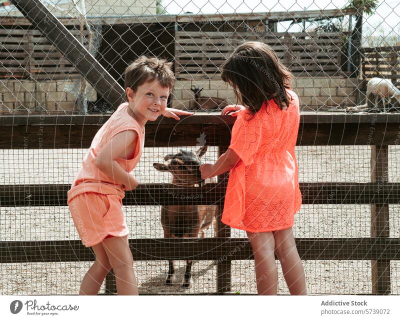 Two children, a boy and a girl, are engaged in a playful interaction with goats at a wooden fence on a sunny farm school day engagement animal kid fun