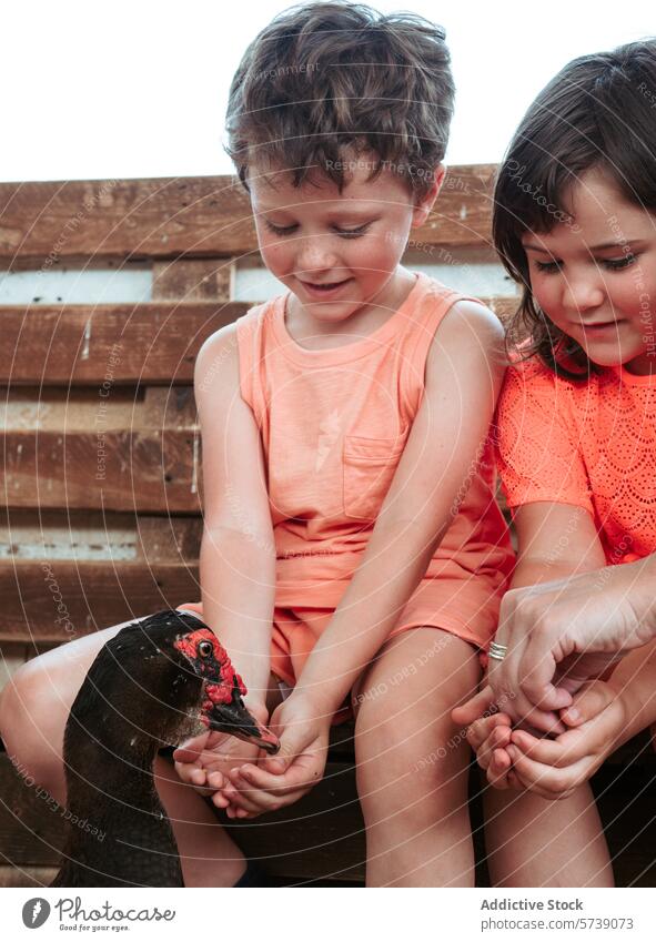 Two young children happily engage with a duck, learning about farm animals during a summer activity feeding outdoor engagement hands wooden background care