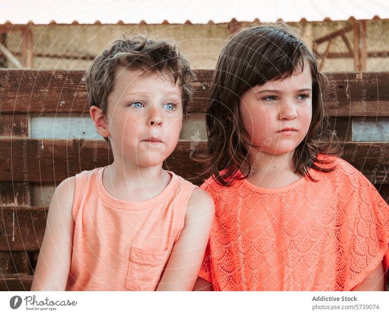 A boy and girl sit side by side against a wooden fence, lost in thought and taking in the sights of a farm school during summer siblings pensive sitting