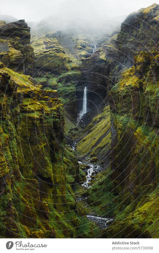 Lush canyon waterfall in the Icelandic wilderness iceland lush moss fog landscape nature green stream cliffs rock misty outdoor scenic beauty serene tranquil