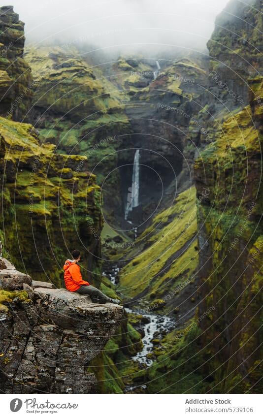 Anonymous hiker overlooking a majestic waterfall in Iceland iceland adventure travel nature landscape rock edge cliff green moss outdoor exploration scenic man