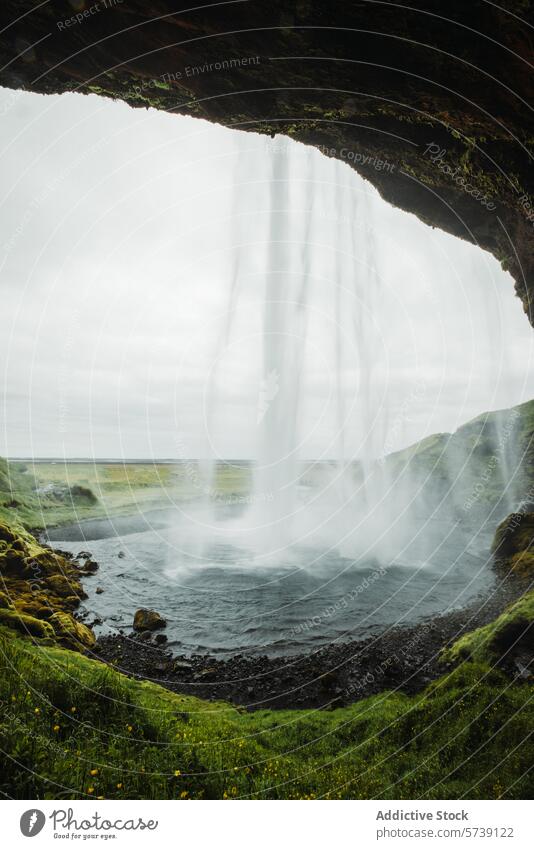 Majestic waterfall view from behind in Iceland landscape iceland nature cascade greenery scenic flow curtain mist cliff outdoors travel serenity beauty lush