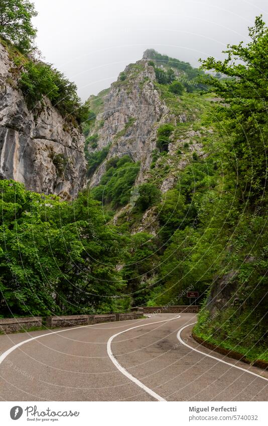 Road that runs through the Los Beyos gorge next to the Sella River and between the municipalities of Amieva and Ponga, Asturias. los beyos defile pass nature