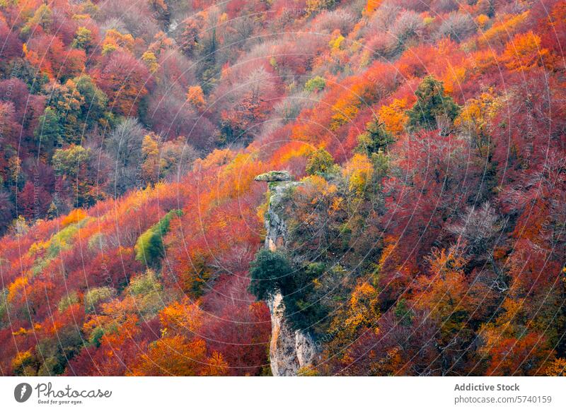 Striking autumn colors drape the cliffside in the Urbasa mountain range, with a lone rock formation standing sentinel above the forest hues nature scenic