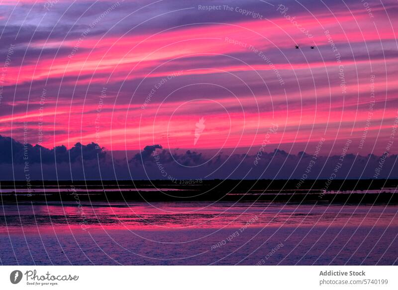 Dramatic crimson and magenta streaks paint the sky at sunset in Delta del Ebro, with birds in flight accentuating the dynamic scene dramatic cloud reflection