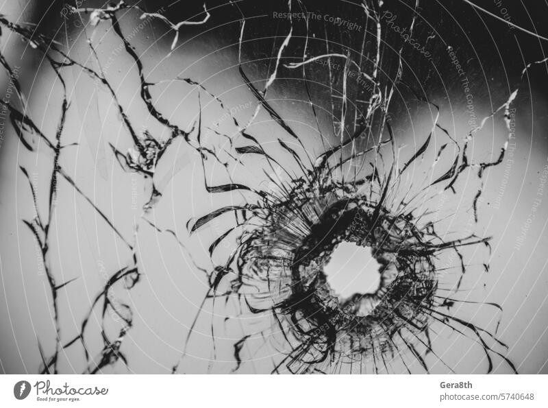 bullet hole in cracked window glass abstract accident background broken broken glass broken window bullet hit closeup color crash crime damage danger deadly