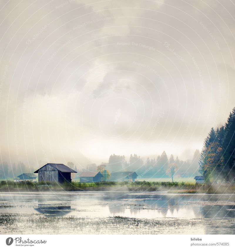 Haus am See is reflected in the water in a misty autumn atmosphere. House (Residential Structure) Water Lake Lakeside mirror mirrors Fog Environment Landscape