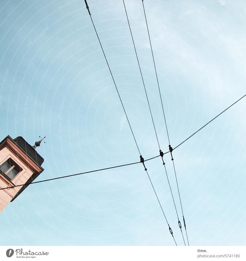 The city sees everything Tower Roof Window Overhead line Sky User interface stream Manmade structures Building Perspective urban Curiosity inquisitorial