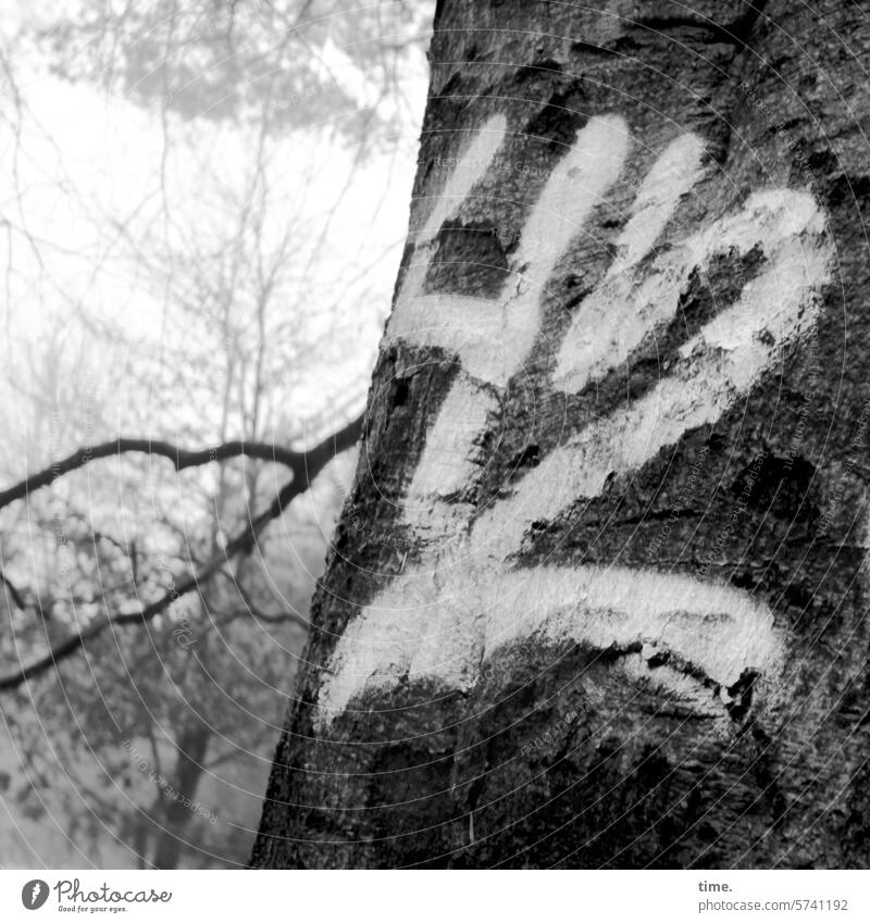Everything will be fine | The answer Tree 42 number Colour Forest Answer Tree trunk Branch Nature Environment bark painted on graffiti Tree bark