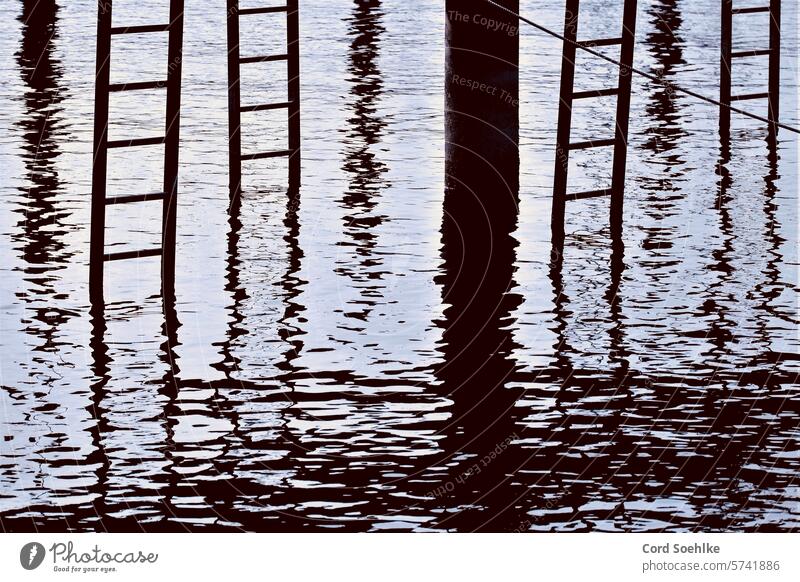 Ladders on a jetty Lake Waves Water