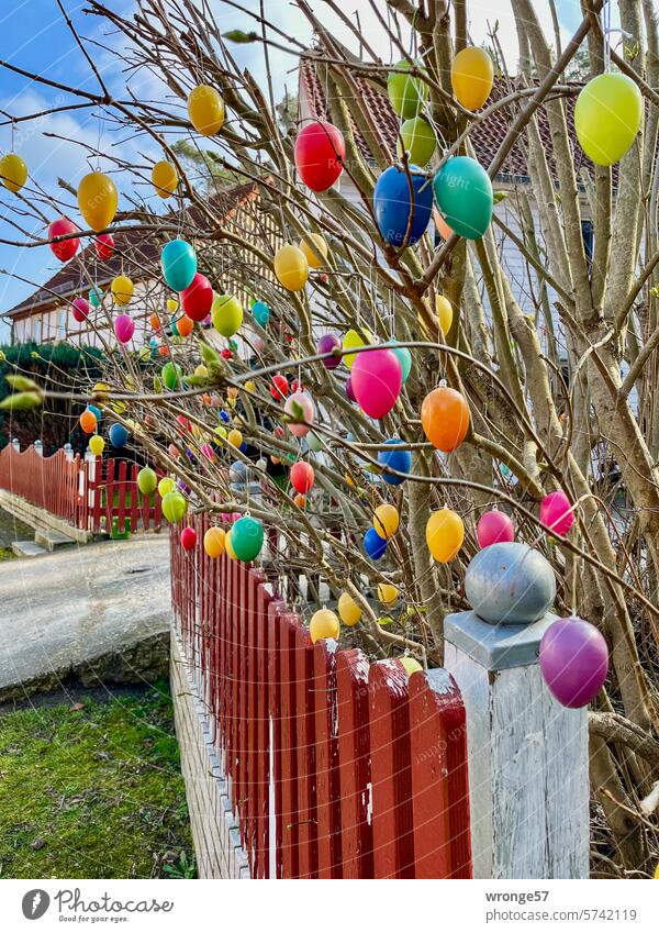 Looking forward to Easter Easter eggs easter jewellery Easter bush colorful eggs Feasts & Celebrations Spring Tradition Garden fence Front garden Village idyll