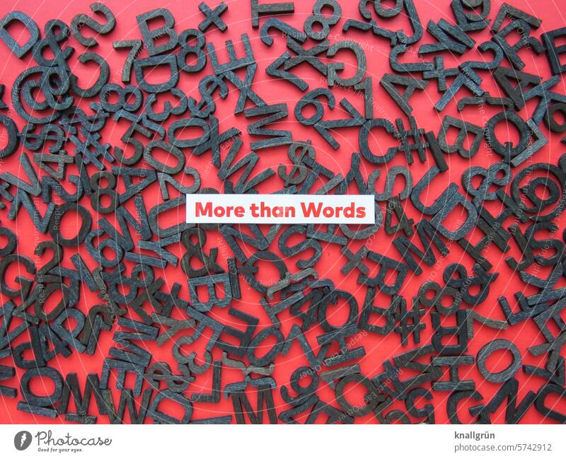 More than Words Text Letters (alphabet) between the lines Characters writing Deserted communication Typography Communication Language Communicate