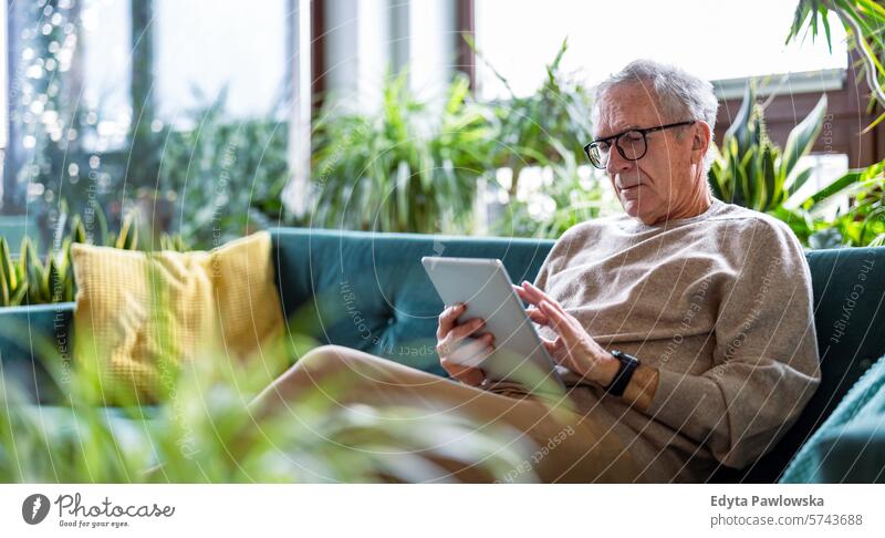Senior man using digital tablet while sitting on sofa in living room at home people caucasian grey hair casual day portrait indoors real people white people