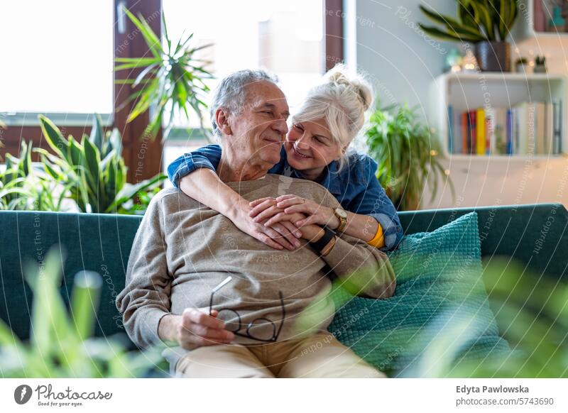 Portrait of a happy senior couple sitting on sofa at home people caucasian grey hair casual day portrait indoors real people white people adult mature retired