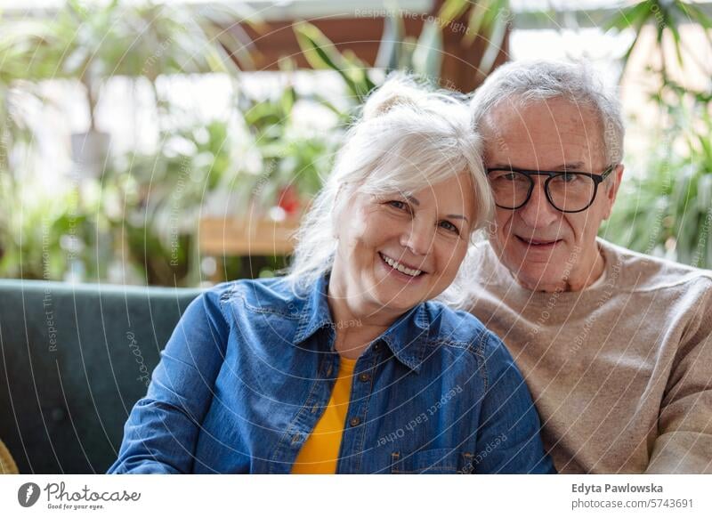 Portrait of a happy senior couple sitting on sofa at home people caucasian grey hair casual day portrait indoors real people white people adult mature retired