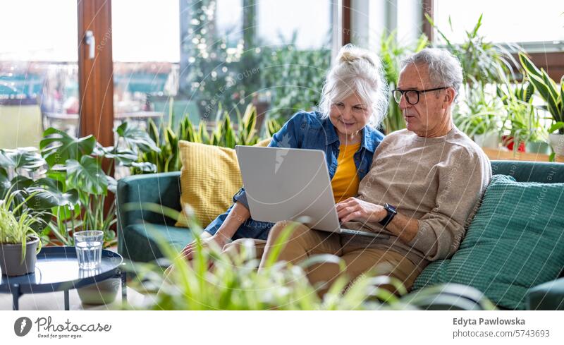 Senior couple using laptop while sitting on sofa in living room at home people caucasian grey hair casual day portrait indoors real people white people adult
