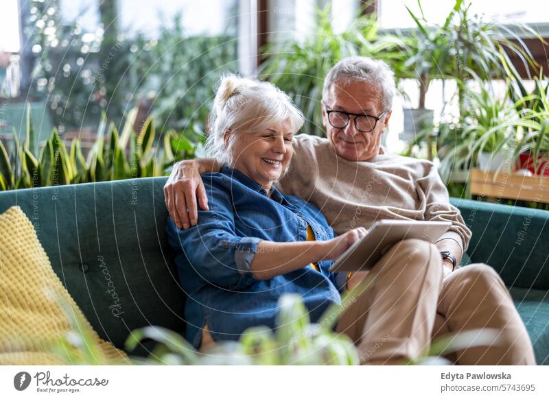 Happy senior couple using digital tablet while sitting on sofa in living room people caucasian grey hair casual day portrait indoors real people white people