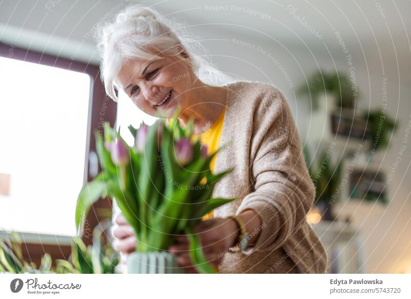 Happy senior woman with bouquet of tulips in vase at home people casual day portrait indoors real people white people adult mature retired old one person