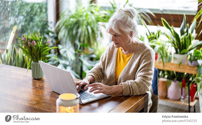 Mature woman using laptop while sitting at the table at home people casual day portrait indoors real people white people adult mature retired old one person