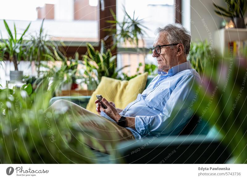 Senior man using mobile phone while sitting on sofa in living room at home people caucasian grey hair casual day portrait indoors real people white people adult