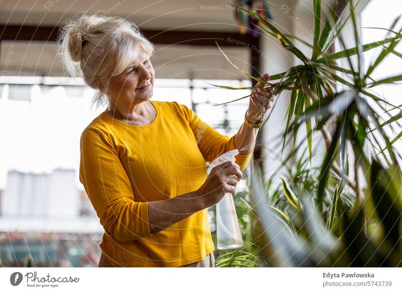 Senior woman taking care of houseplants at home people casual day portrait indoors real people white people adult mature retired old one person lifestyle senior