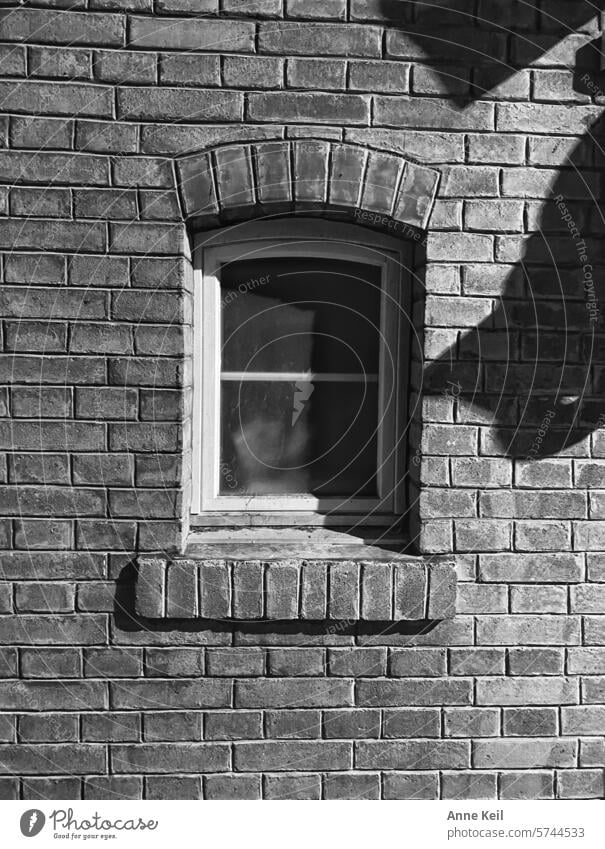 Brick wall with window Black & white photo Dark Window Architecture Deserted Wall (building) Exterior shot Facade Brick facade Building Old Stone Pattern