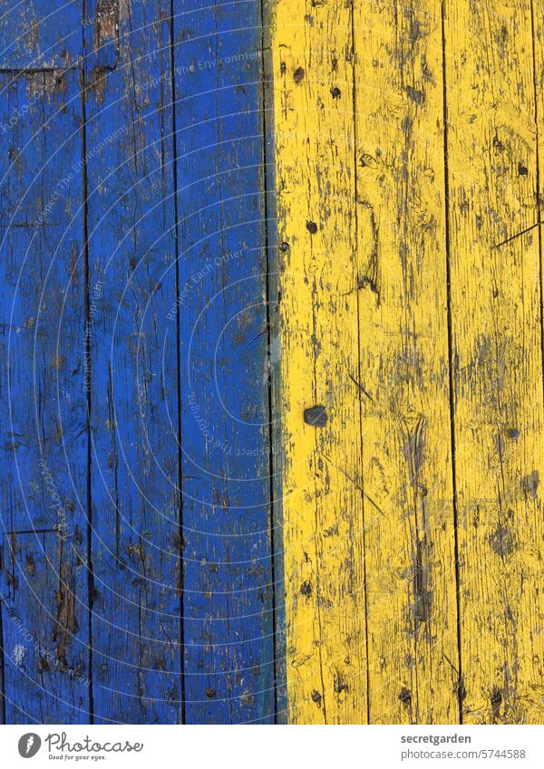 Robust wood Blue Yellow Wood Wood plank Floorboard Minimalistic Ukraine Colour symbol Ukrainian flag Conflict Complementary colour Painting (action, work) Sign