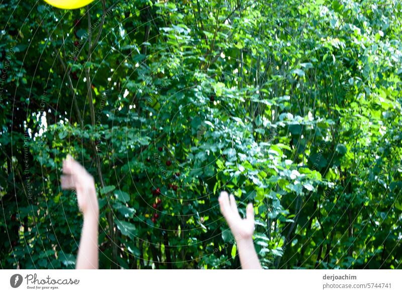Playing catch with balloons in the garden. Party Joy Feasts & Celebrations Multicoloured Joie de vivre (Vitality) Summer Happy celebration Flying Happiness
