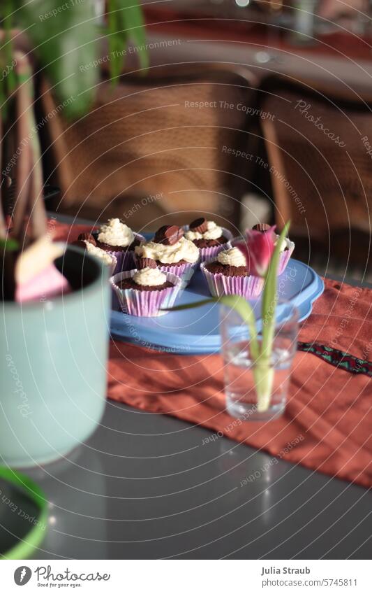 Muffins 1980 Cake dished up Plant Glass Flower Tulip Chocolate Pot plant chairs Table Café Birthday Table runner Tartlet