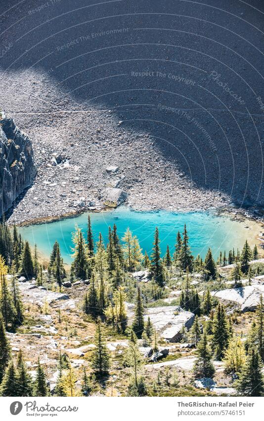 Picture of sureal clear lake in the middle of mountains Lake Canada Water Mountain Rocky Mountains vacation travel Hiking Lake O'Hara forests Vacation & Travel