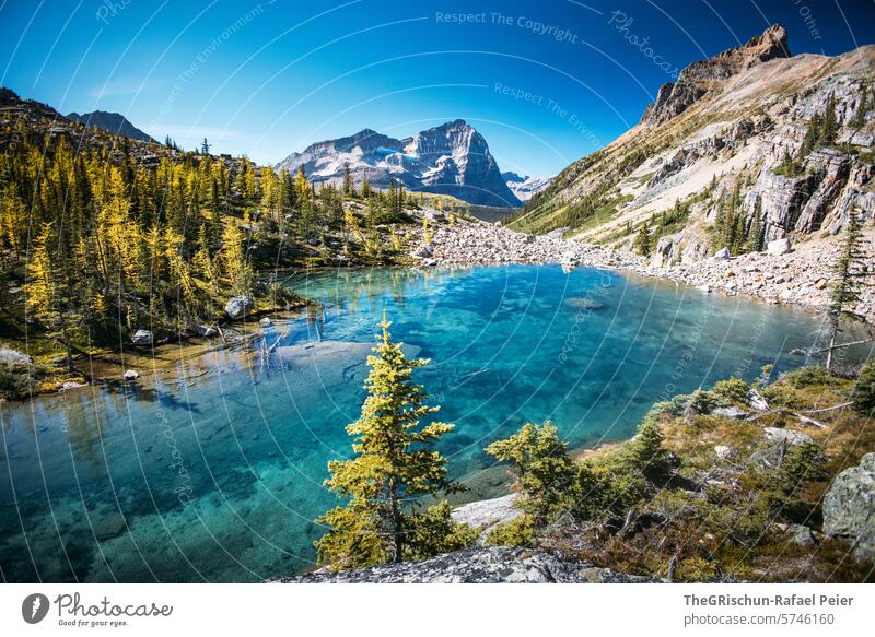 Transparent lake surrounded by mountains and peaks Lake Canada Water Mountain Rocky Mountains vacation travel Hiking Lake O'Hara forests Vacation & Travel