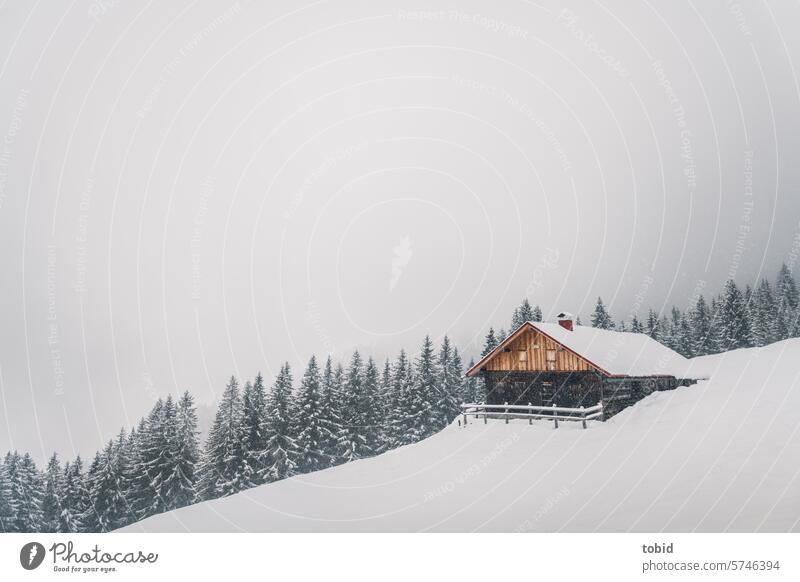 Mountain hut in the snow Snow Idyll Deserted Loneliness Forest Winter forest Fir tree Wooden hut mountain flank Fog White Winter mood Landscape Snowscape Dreary