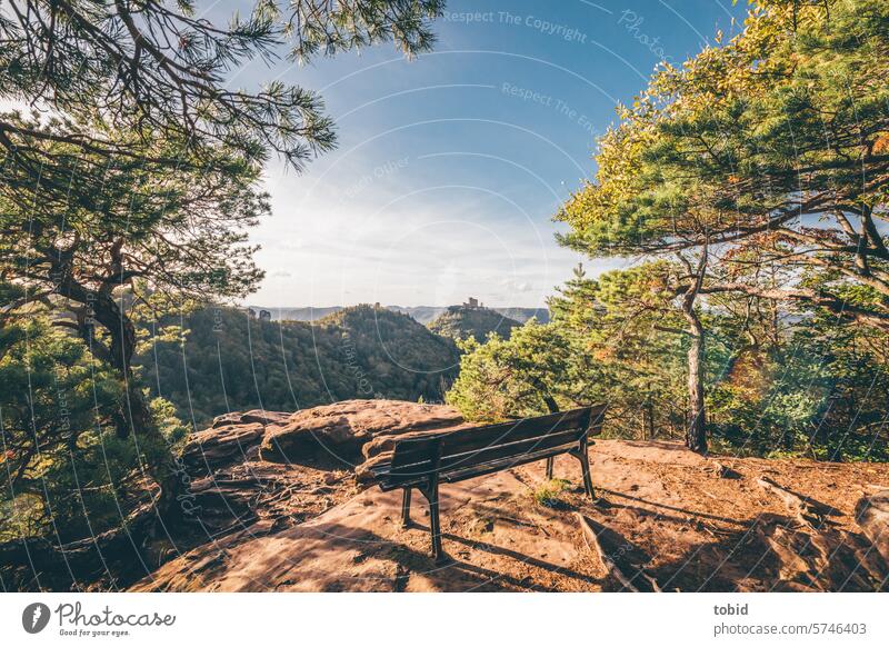 Beautiful view in the Palatinate Forest outlook Bench woodland Nature Landscape Hill Mountain Sandstone Shadow Horizon Resting place Break Idyll Sunlight