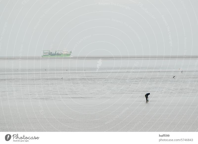 minimalistic scene with ship and man in the Wadden Sea on running water Wadden Sea on the North Sea coast Tide Slick Mud flats mudflat hiking tour