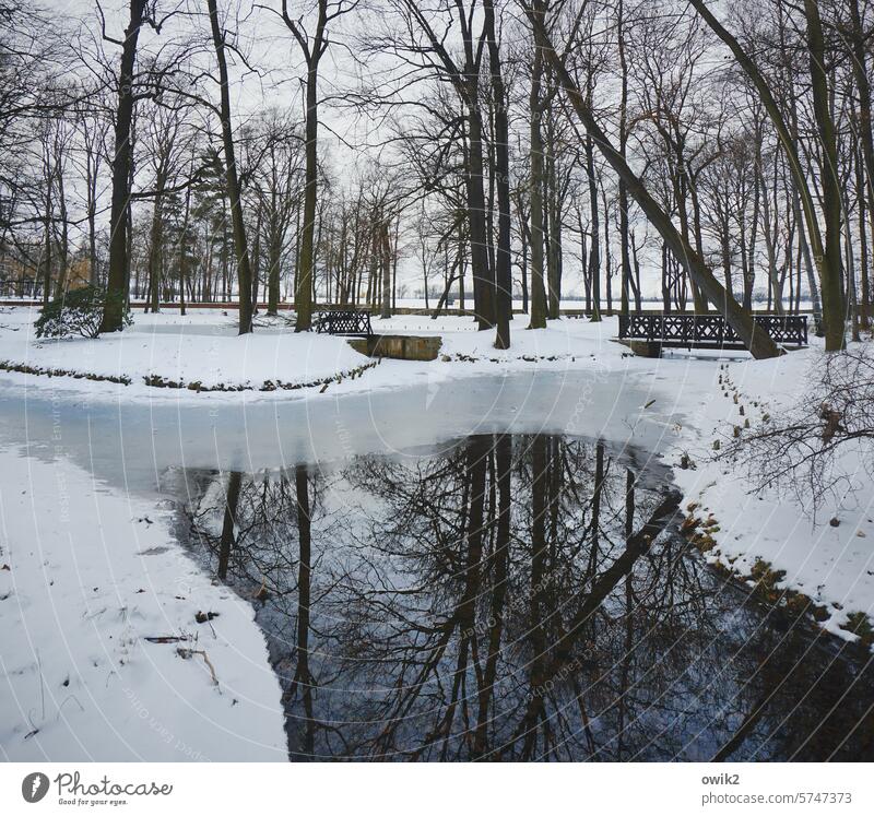 Winter park Snow Cold Snow layer Waterway Water reflection channeling Glittering unhurriedly Brook Mysterious melancholically out Surface of water Loneliness