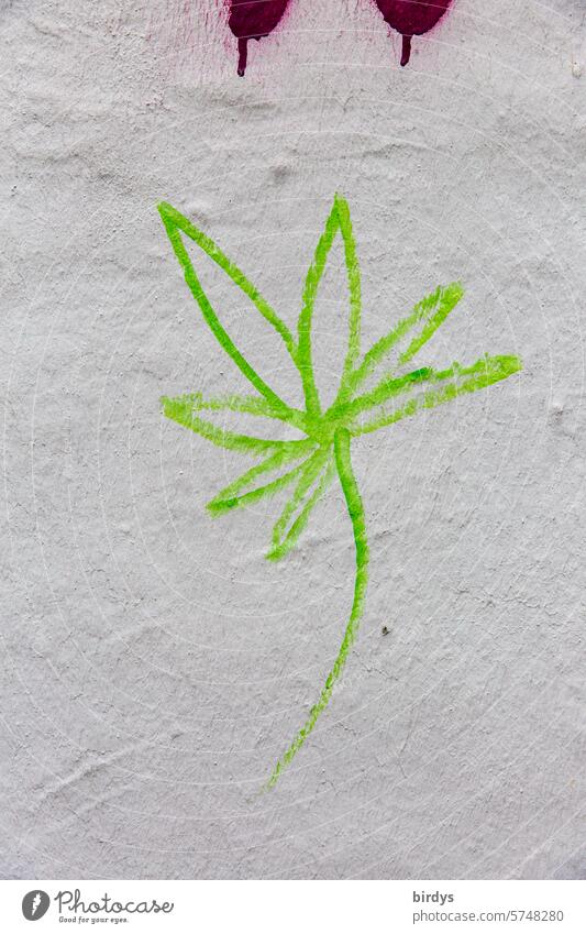 painted marijuana leaf Marijuana Cannabis smoke pot symbol Green Hemp Hemp leaf Painted Neutral background legalize symbolic