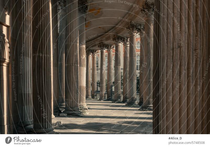 Travel Germany Culture and History Sight Columned Halls Mopke Prussian ancient architectural architecture attraction background beauty berlin brandenburg