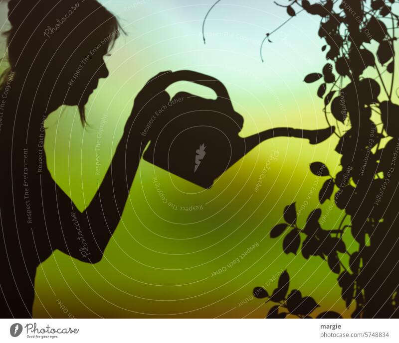 water flowers Woman Watering can Shadow Shadow play Silhouette leaves Light and shadow Structures and shapes shadow cast