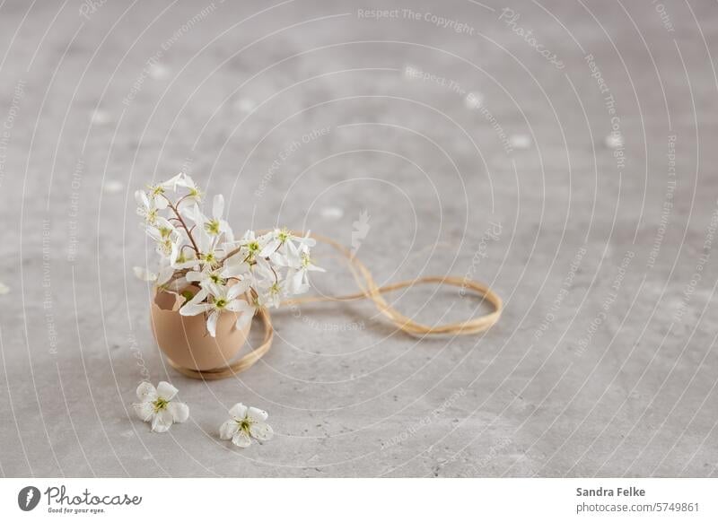 Eggshell as a vase - filled with spring flowers Easter Spring Easter egg Decoration Colour photo Easter egg nest Close-up blossoms Feasts & Celebrations eggs