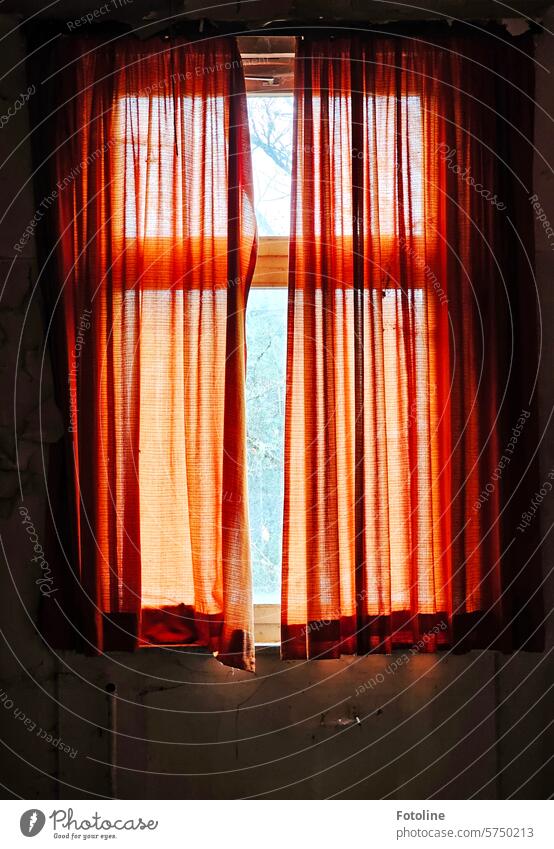 In a lost place, reddish curtains bathe the empty room in a warm light. Window Curtain Cloth Orange reddishly Light Window pane window glass somber Dark Drape