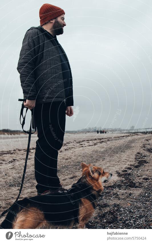 Foggy walk on the Baltic Sea dog beach | Master and corgi looking out to sea | Male dog owner with full beard and red cap Pet Walk the dog Beach dog-friendly