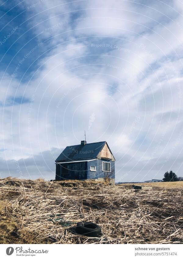 Dream house. Seriously. House (Residential Structure) Architecture Iceland Corrugated sheet iron Building Exterior shot Window Deserted Colour photo