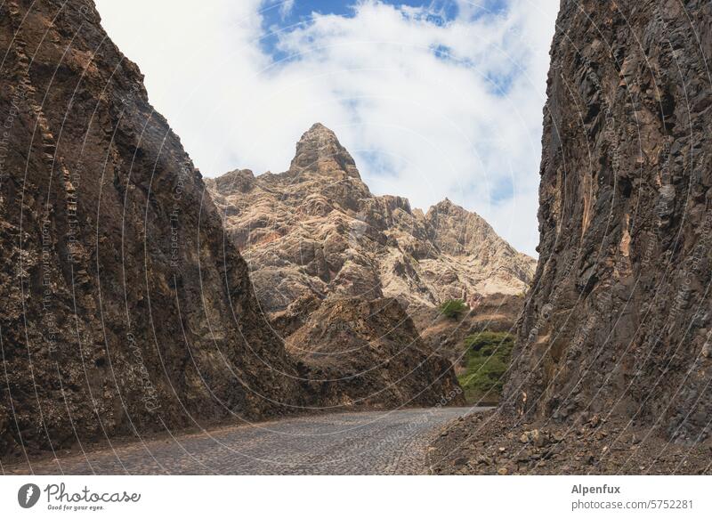 Roads of Cabo Verde V Street Cobbled pathway paved road Lanes & trails Paving stone Structures and shapes Pavement Cobblestones Exterior shot Deserted Pattern