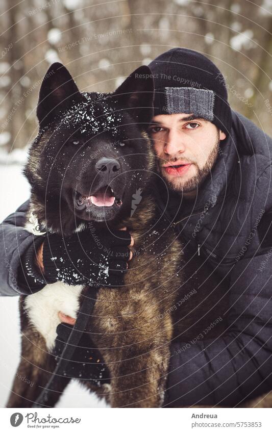 A man in a jacket and a knitted hat walks with an American Akita dog Alaska animal black breed brown forest habitat joy a lot of snow nature running white