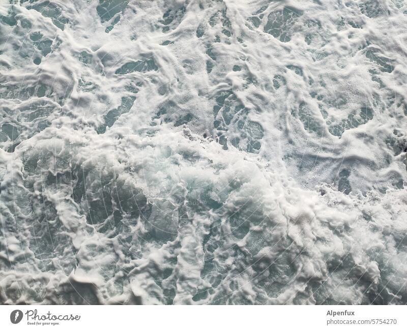 in the water Water gout Ocean Deserted Nature Exterior shot background Agitated White crest Wet Waves Surf Wild Swell Force of nature Atlantic Ocean Threat